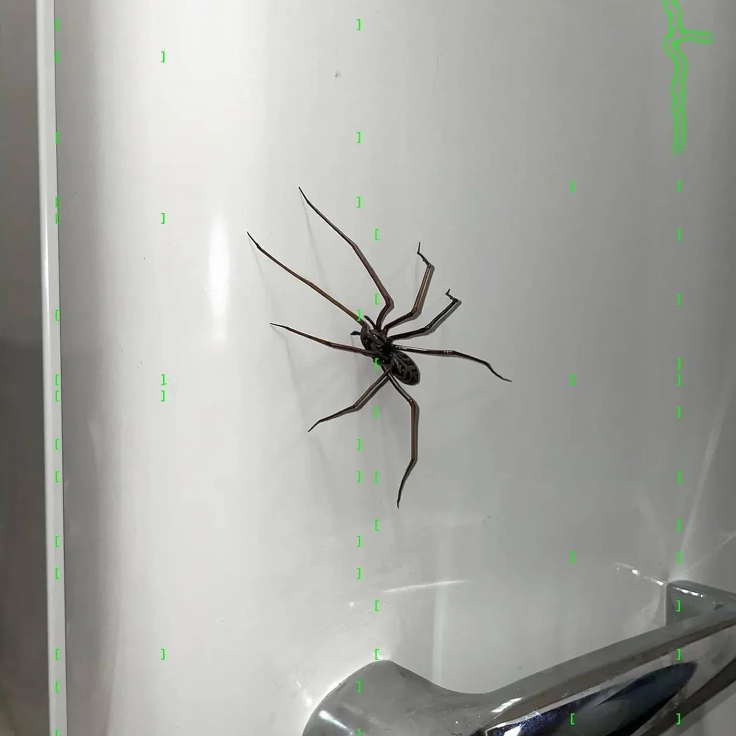 Yamobi Magnes na lodówkę 3D Spinne Realistyczne magnesy na pająki Halloween dekoracja