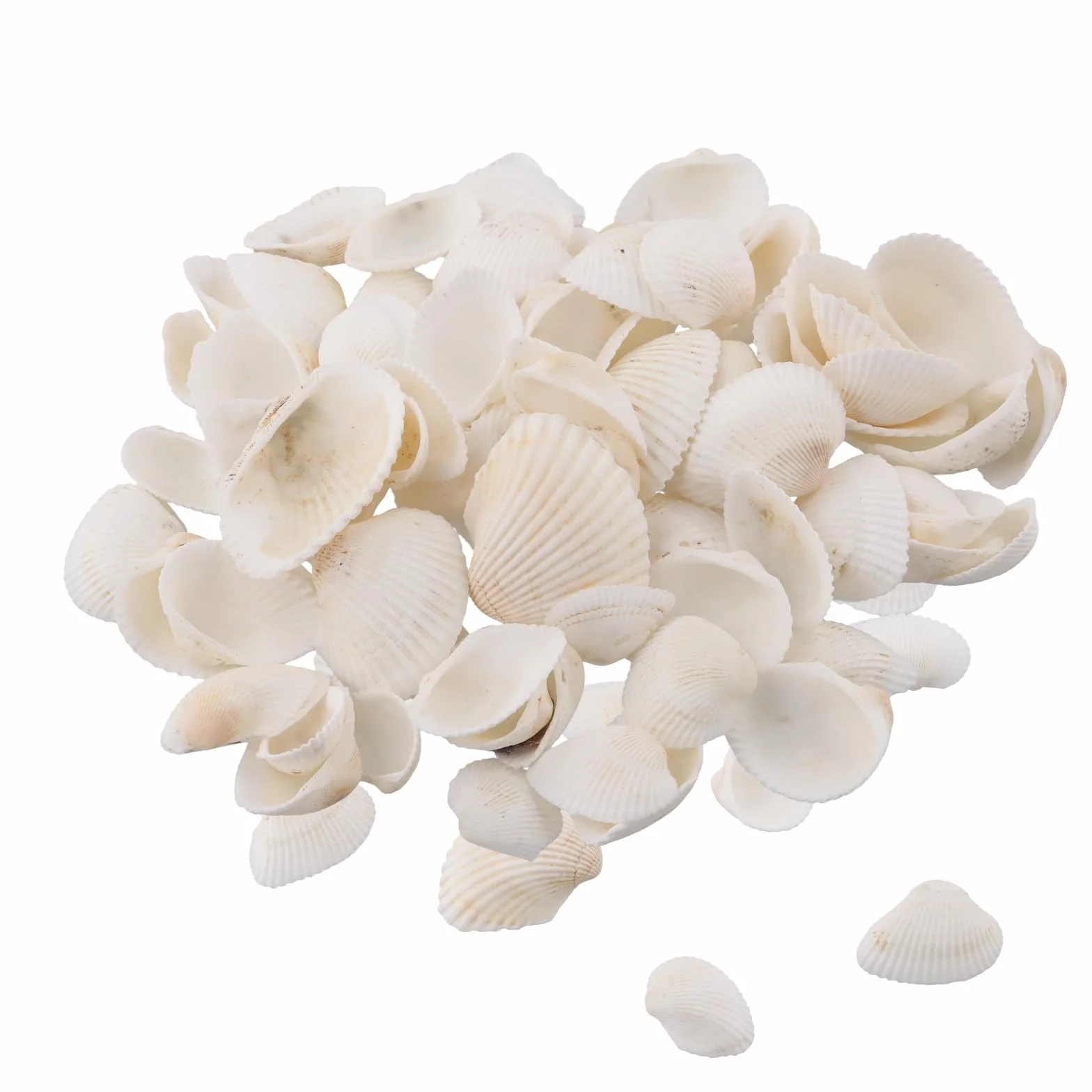 Muszelki morskie naturalne 180 g 2-3 cm do dekoracji rękodzieła