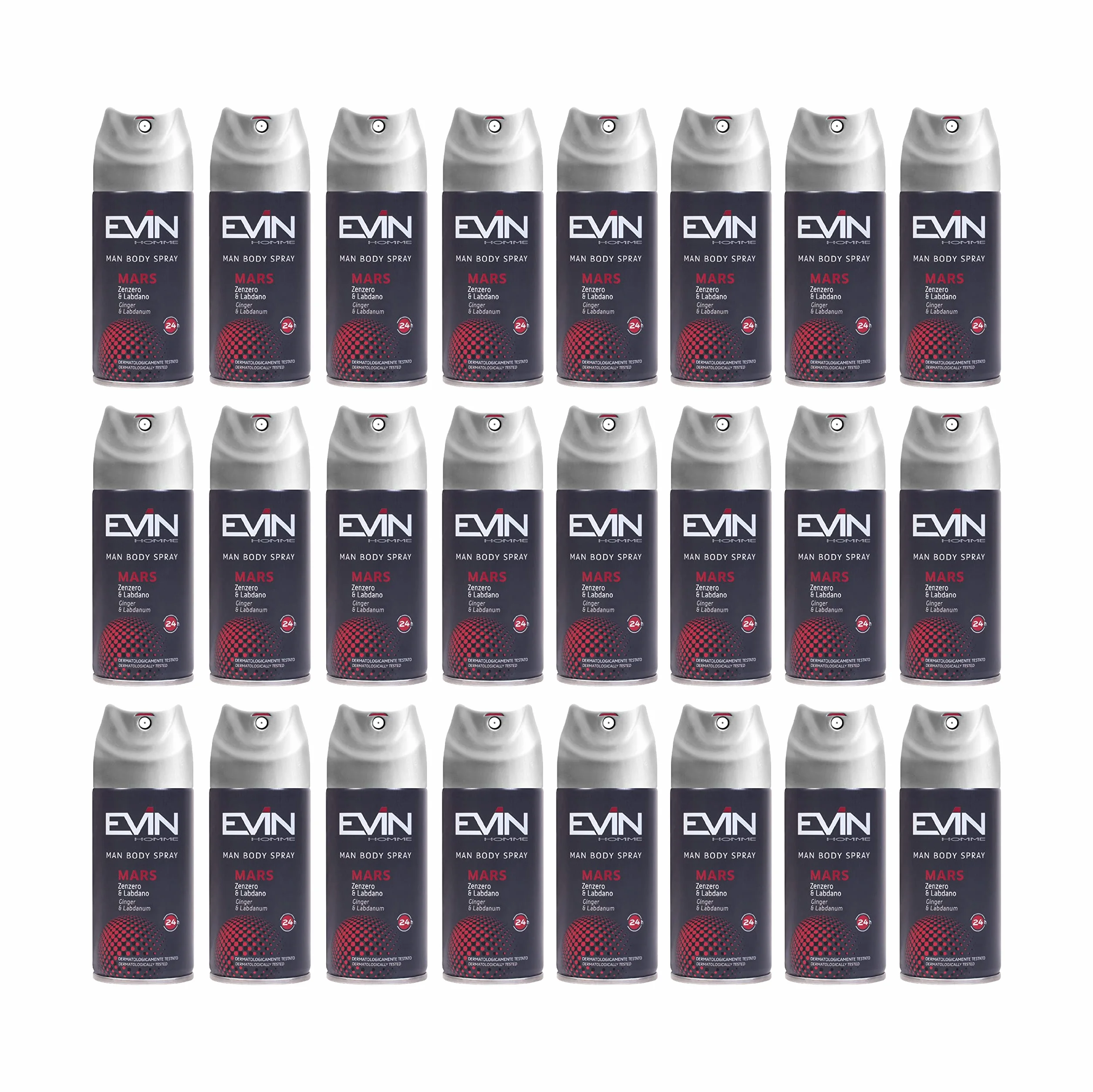 EVIN HOMME | 24 Dezodoranty Męskie Spray, Imbir i Labdano, Trwałość 24h, 150 ml