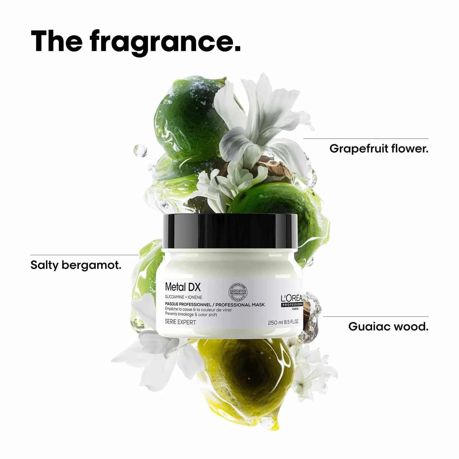 L'Oréal Professionnel Maska do włosów farbowanych i zniszczonych, długo utrzymujące się kolory i połysk, seria Expert, maska Metal DX, 250 ml