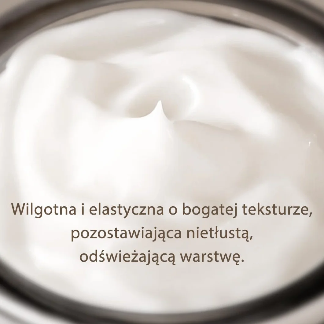[Mizon] Krem z Mucyną Śluzu Czarnego Ślimaka (75 ml) Krem premium; Terapia przeciwstarzeniowa; Koreańska kosmetyka z ekstraktami roślinnymi i muzyną ślimaka (All in One Black Snail Cream)