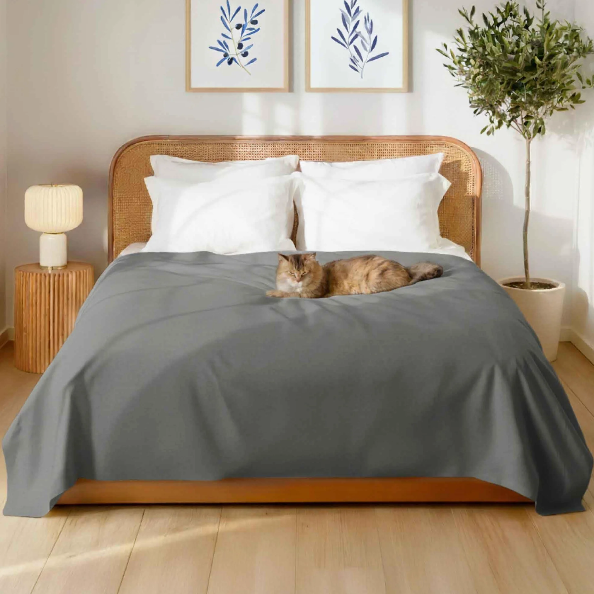 Dreamzie Prześcieradło dla 2 osób - 230x270 Antracyt - Ultramiękka, Szczotkowane, z Microfibra, do Łóżka Dwuosobowego 140x200/150x200 - Certyfikat Oeko-Tex