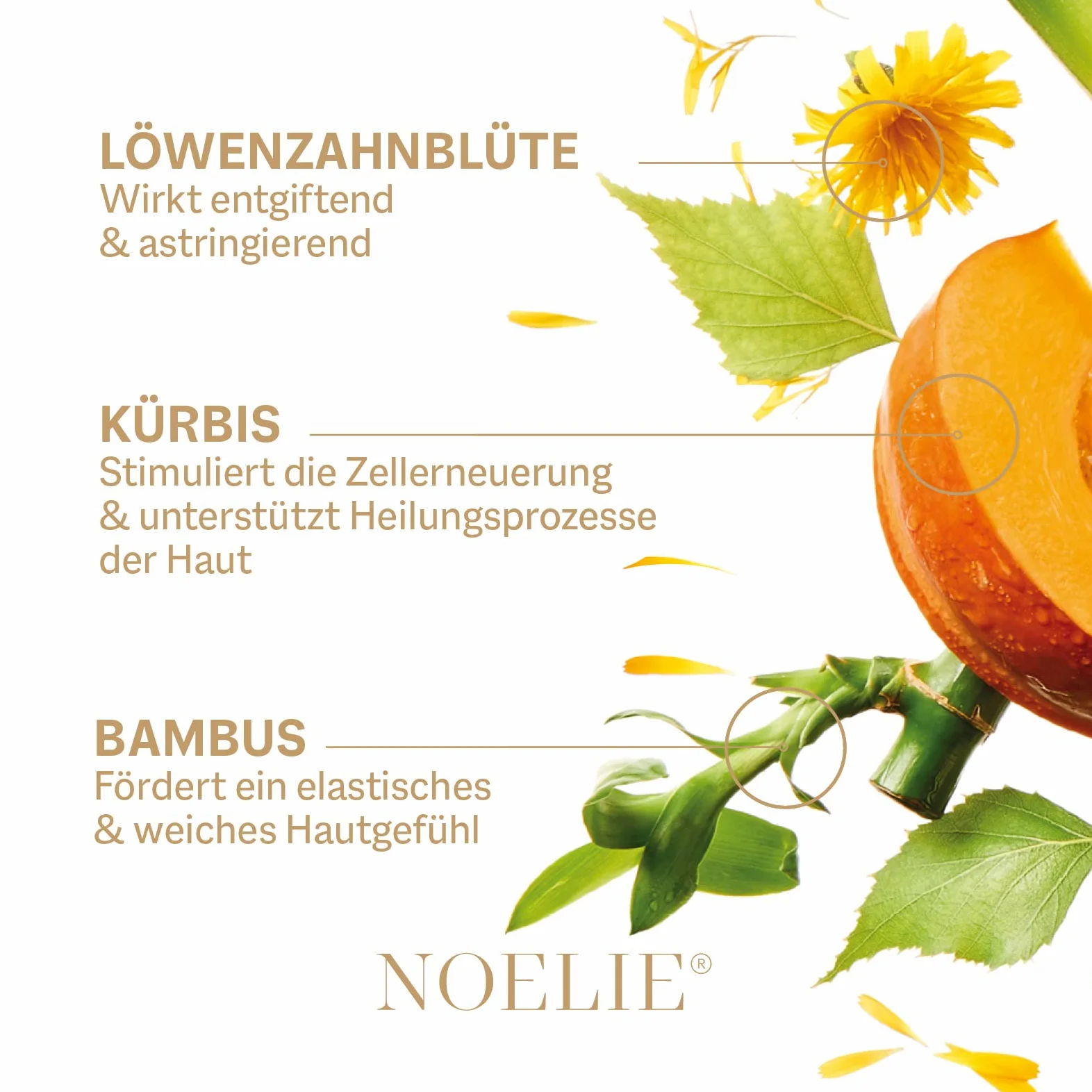 NOELIE Hydra Lift Stymulacja maseczka peelingująca 50 ml | bardzo skuteczny naturalny kosmetyk | luksusowa enzymatyczna maska peelingująca dla zmęczonej i zanieczyszczonej skóry | nadaje jędrną i jędrną skórę twarzy | Made in Germany