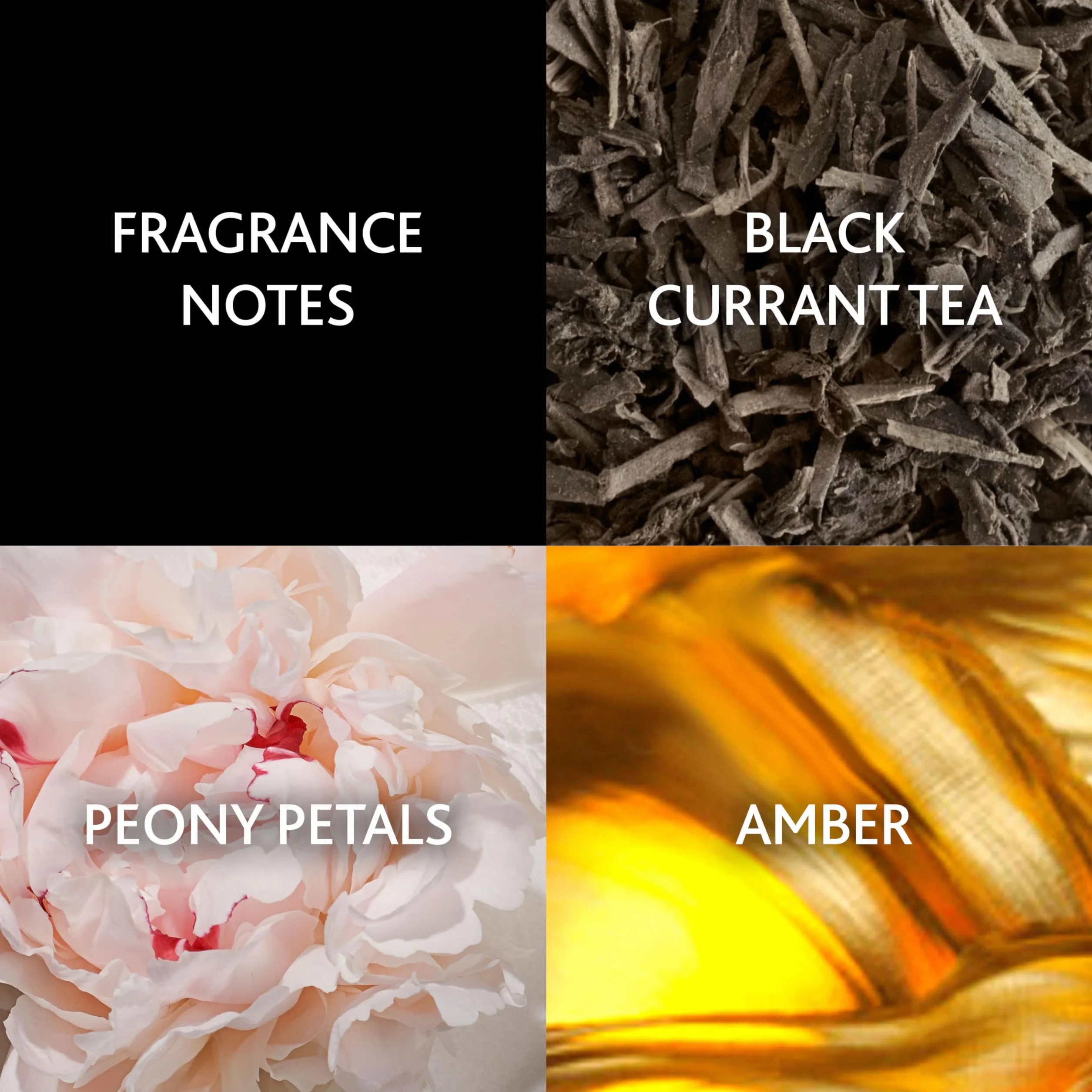 Christina Aguilera - Signature, perfumy damskie, kwiatowe i orientalne, z nutami jaśminu, piwonii i wanilii, egzotyczny aromat, słodycz i zmysłowość, perfumy dla kobiet – 15 ml