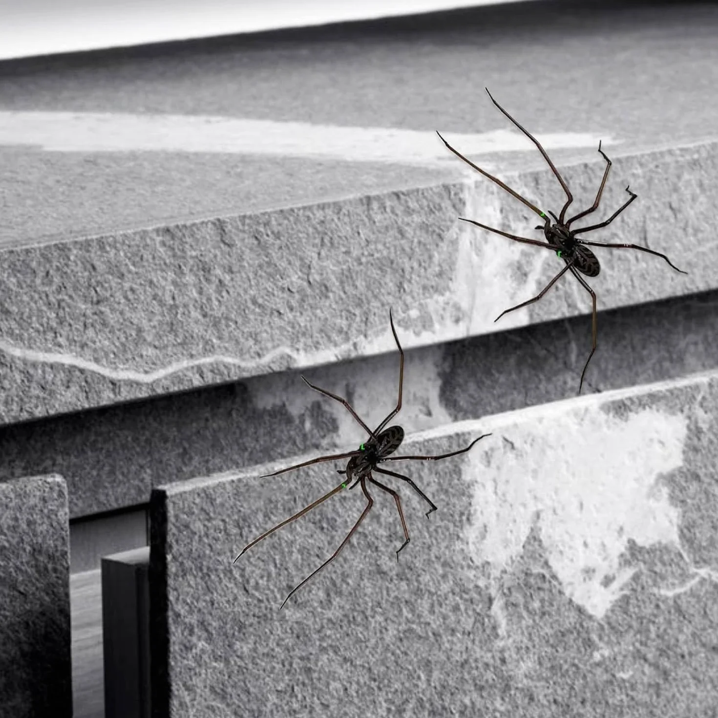 Yamobi Magnes na lodówkę 3D Spinne Realistyczne magnesy na pająki Halloween dekoracja