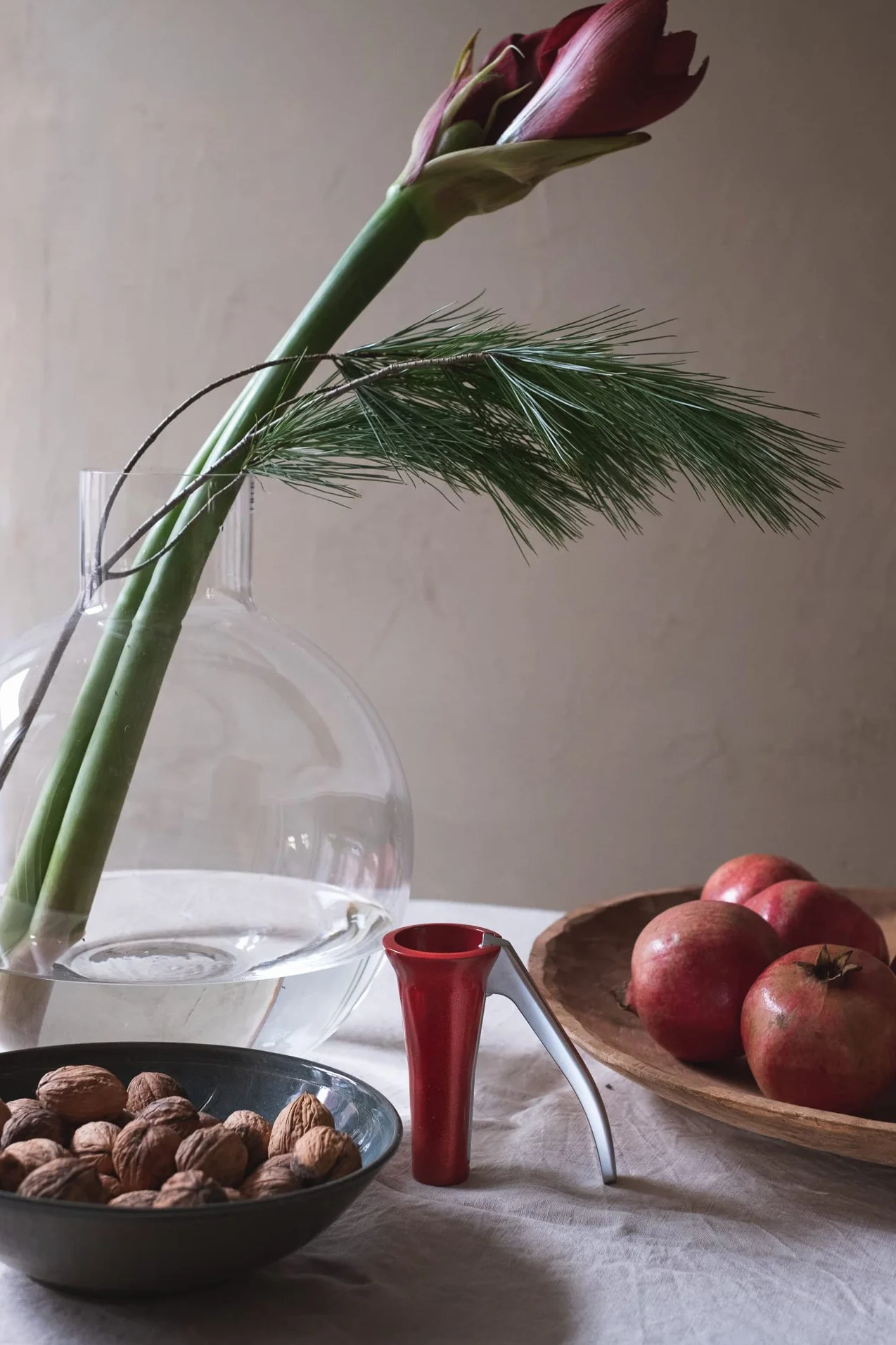 Drosselmeyer Designerski dziadek do orzechów mocny wytrzymały z pojemnikiem do zbierania muszli