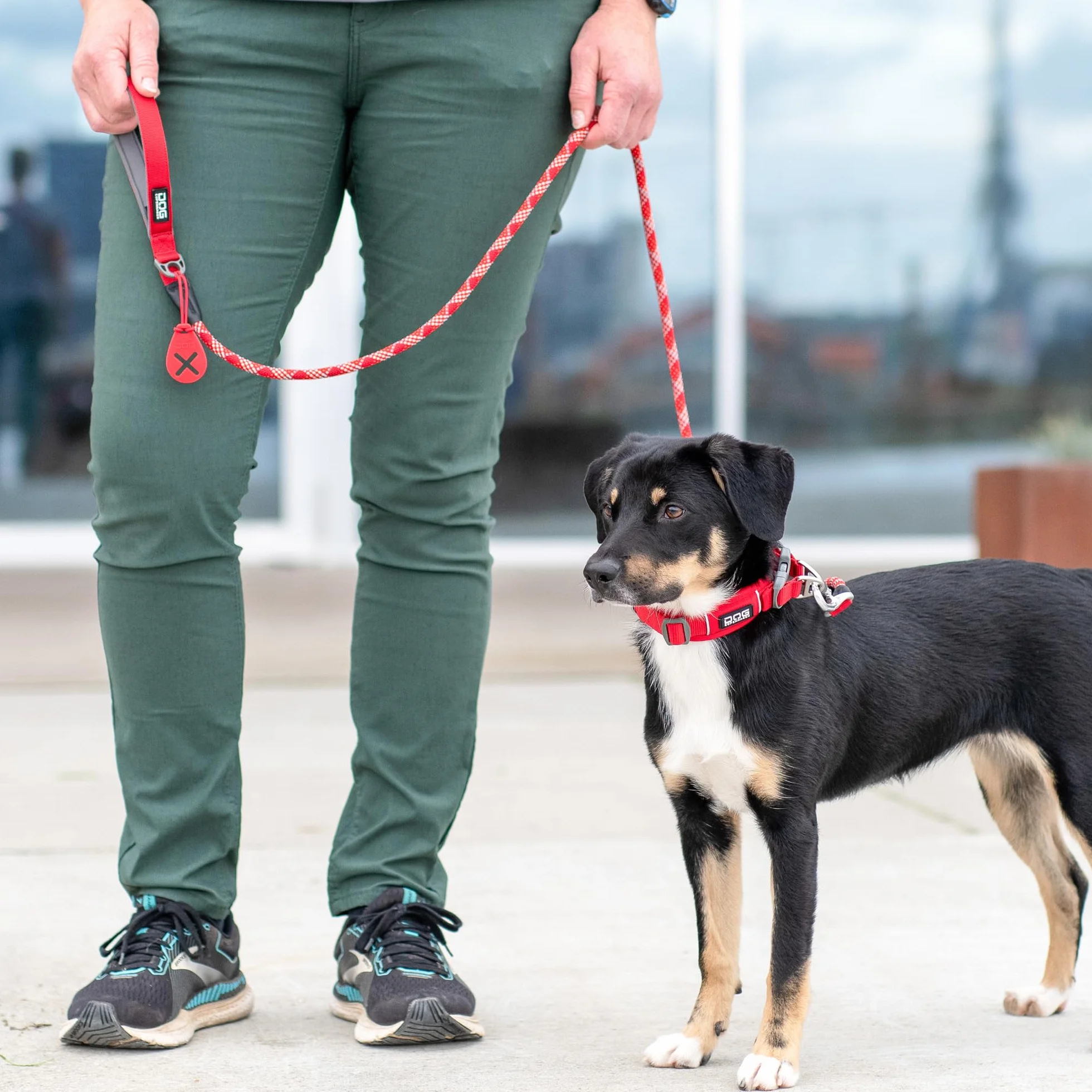 DOG Copenhagen Flexy uchwyt na worki na odchody dla psów, dzika róża