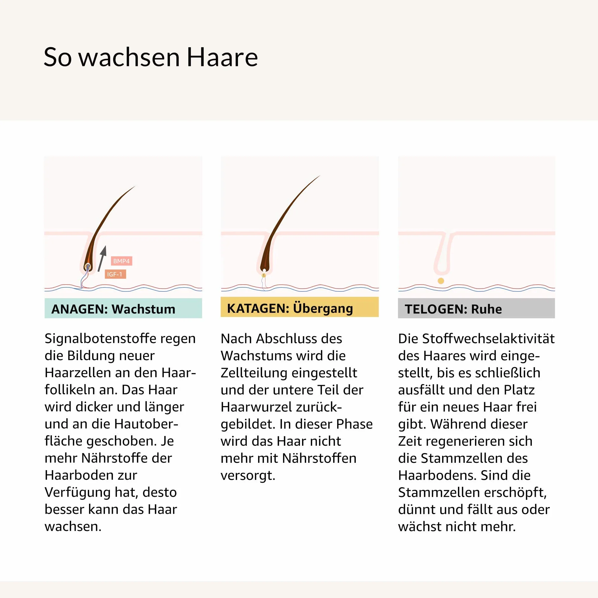 Cosphera Neverending Lashes - Serum do rzęs i brwi - wegański i wolny od hormonów - 4 ml serum do wzrostu rzęs dla długich rzęs i gęstych brwi - testowany dermatologicznie i okulistycznie