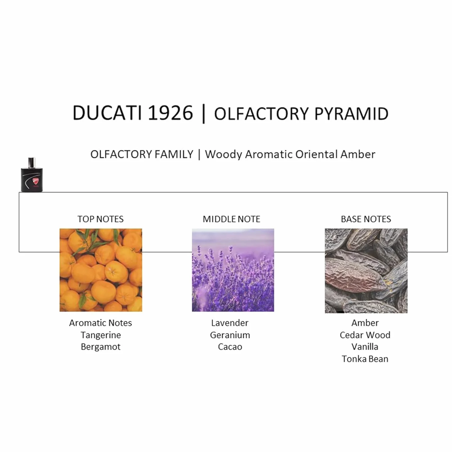 DUCATI | 1926 Pudełko na prezenty dla mężczyzn, perfumy męskie EDT 100 ml + czapka zimowa Ducati, z zapachem drzewnym, aromatycznym i orientalnym