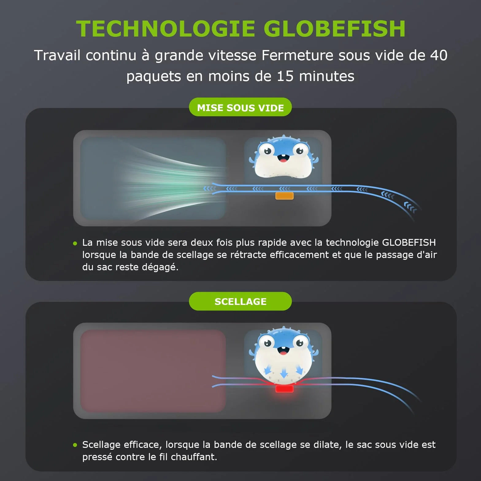 Bonsenkitchen Globefish próżniarka do ciągłej pracy z dużą prędkością