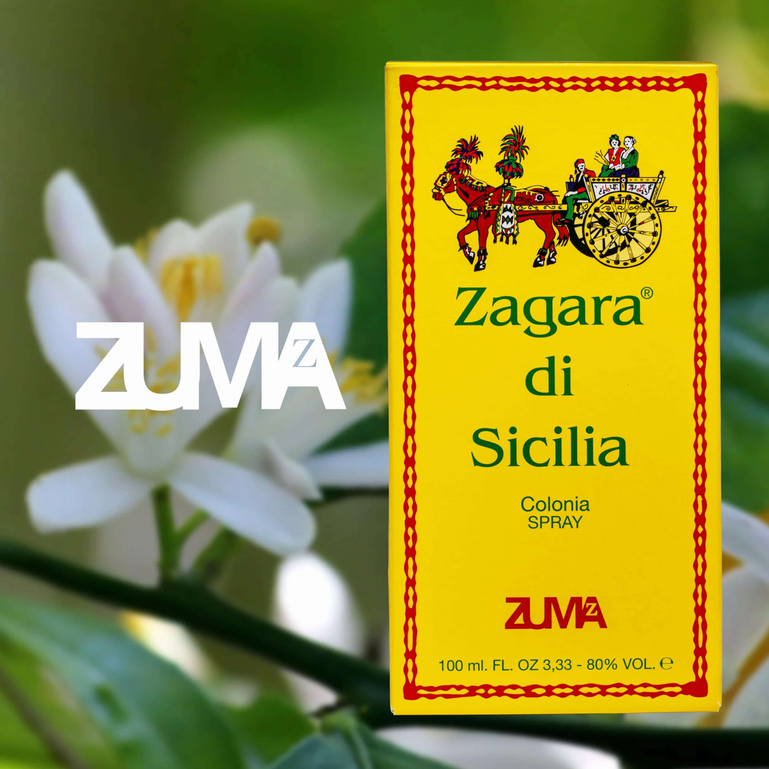 Perfumy Zuma - Zapach Zagara by Sycylia Kolonia Unisex Kwiatowy Zapach Spray - Unikalne emocje Neroli i Nuty Kwiatowe Wyprodukowano we Włoszech (Zagara di Sicilia 100 ml)